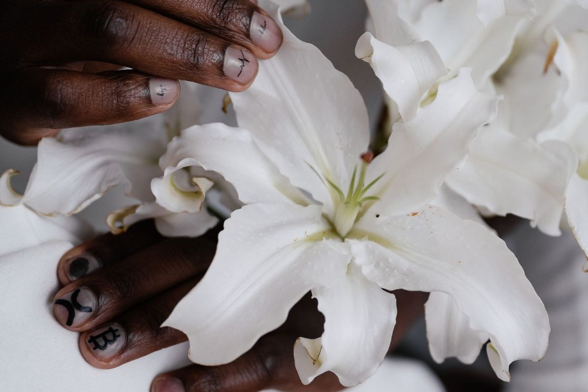 Hands gently holding white lily flowers