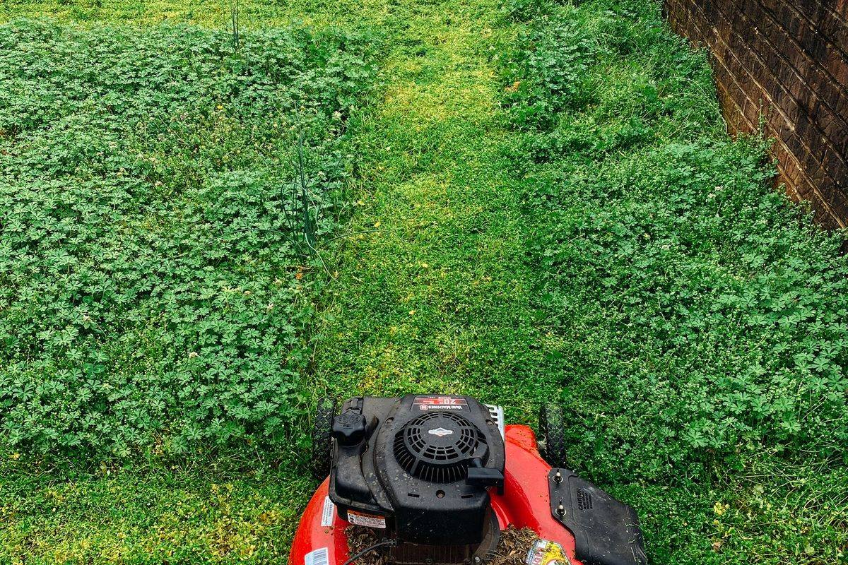 Lawn mower on a lawn that is half mown