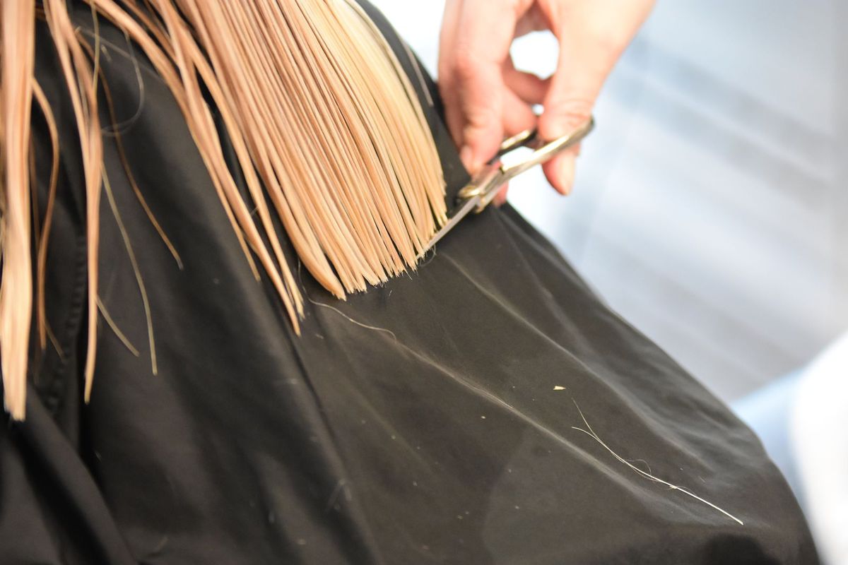 A hairdresser cutting a client's hair
